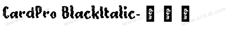 CardPro BlackItalic字体转换